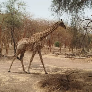 WhatsApp Image 2025-05-11 at 22.10.23